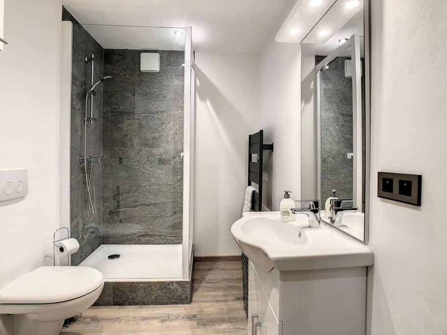 Mont Alt, F2 40M2 En Rdc, Calme, Vue Mt Blanc Apartment Passy  Luaran gambar