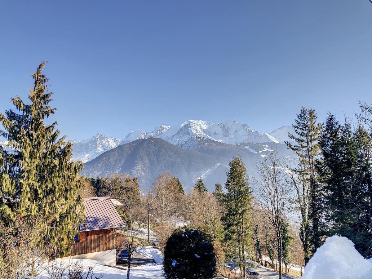 Mont Alt, F2 40M2 En Rdc, Calme, Vue Mt Blanc Apartment Passy  Luaran gambar